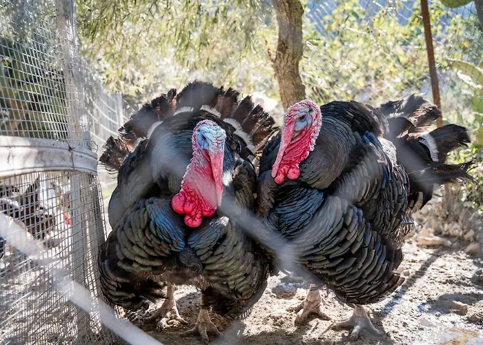 Prázdninový dům Valateddi Cammarata