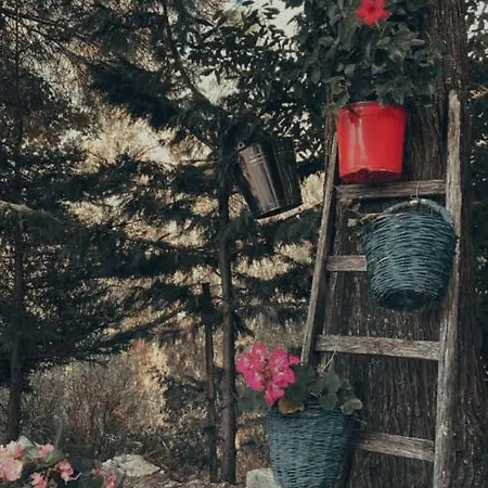 펜션 Valateddi 카마라타