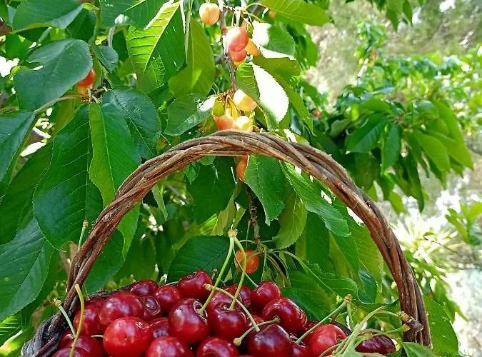 Valateddi بيت للعطل